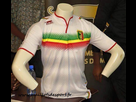 https://image.noelshack.com/fichiers/2015/31/1438335014-maillot-away-mali-can-2015.jpg