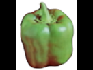 https://image.noelshack.com/fichiers/2015/31/1438392899-freaky-gimp-pepper-brush-by-daesiy2.png