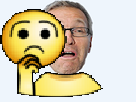 https://image.noelshack.com/fichiers/2015/32/1438869684-ruquap.png