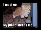 https://image.noelshack.com/fichiers/2015/32/1438905057-lolcats-lol-cats-52.jpg