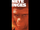 https://image.noelshack.com/fichiers/2015/33/1439562296-thismonkeyfuckinglookslikeksi.jpg