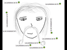 https://image.noelshack.com/fichiers/2015/34/1439927266-lespredictionsdevd.jpg