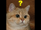 https://image.noelshack.com/fichiers/2015/34/1439991843-1427745422205.png