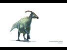 https://image.noelshack.com/fichiers/2015/34/1440015188-parasaurolophus.jpg