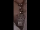 https://image.noelshack.com/fichiers/2015/34/1440026543-712201scream.jpg