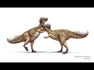 https://image.noelshack.com/fichiers/2015/34/1440116094-14-stegoceras.jpg