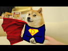 https://image.noelshack.com/fichiers/2015/34/1440192557-18366-doge-original-doge.jpg