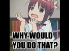 https://image.noelshack.com/fichiers/2015/34/1440249763-whywouldyoudothat.jpg