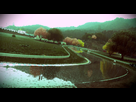 https://image.noelshack.com/fichiers/2015/34/1440312419-driveclub-tm-20150823075742.jpg