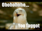 https://image.noelshack.com/fichiers/2015/35/1440605158-1431522557-very-cute-owl-makes-funny-remark-cute-picture.jpg