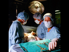 https://image.noelshack.com/fichiers/2015/35/1440620003-chirurgie.jpg