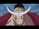 https://image.noelshack.com/fichiers/2015/35/1440710671-whitebeard.jpg