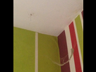 https://image.noelshack.com/fichiers/2015/35/1440719965-iphone-image-08-28-2015.jpg