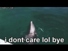 https://image.noelshack.com/fichiers/2015/36/1441008144-4na05zz.gif