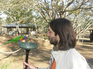 https://image.noelshack.com/fichiers/2015/36/1441234135-2008-australie-lorikeets-feeding.jpg