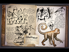 https://image.noelshack.com/fichiers/2015/36/1441271184-jv-ark-mesopithecus.jpg