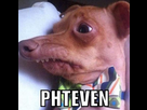 https://image.noelshack.com/fichiers/2015/36/1441290887-phteven.jpg