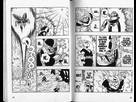 https://image.noelshack.com/fichiers/2015/36/1441309211-dragon-ball-tome-35-13.jpg