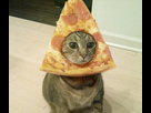 https://www.noelshack.com/2015-38-1442619352-fuck-bread-cat-long-live-pizza-cat-6396ce-5155512.jpg