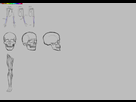 https://image.noelshack.com/fichiers/2015/39/1443024340-anatomie.jpg