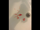 https://image.noelshack.com/fichiers/2015/39/1443123262-iphone-image-09-24-2015.jpg