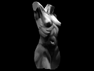 https://image.noelshack.com/fichiers/2015/39/1443193517-2015-09-24-statue.jpg