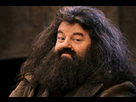 https://image.noelshack.com/fichiers/2015/39/1443198932-hagrid.jpg