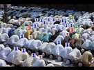 https://image.noelshack.com/fichiers/2015/39/1443238407-12039485-1673364569544509-245658822610335516-n.jpg