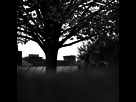https://image.noelshack.com/fichiers/2015/39/1443261852-paul-reuter.jpg