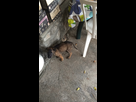 https://image.noelshack.com/fichiers/2015/39/1443276455-image.jpg