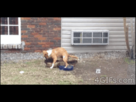https://image.noelshack.com/fichiers/2015/40/1443556139-1396133896-2431617.gif
