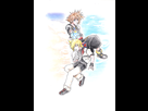https://image.noelshack.com/fichiers/2015/40/1443613722-sora-roxas-colo.jpg