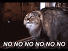 https://image.noelshack.com/fichiers/2015/40/1443722081-9gtpnha.gif