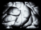 https://image.noelshack.com/fichiers/2015/40/1443723876-brainstorm.jpg