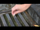 https://image.noelshack.com/fichiers/2015/40/1443902731-61513168-drain-thinkstock.jpg