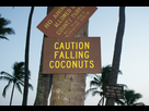 https://image.noelshack.com/fichiers/2015/41/1444044076-falling-coconuts-hawaii-9419622-2560-1711.jpg