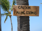 https://image.noelshack.com/fichiers/2015/41/1444044100-falling-coconuts-sign.jpg