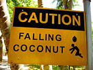 https://image.noelshack.com/fichiers/2015/41/1444044137-coconutsign5.jpg
