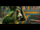 https://www.noelshack.com/2015-41-1444200658-4353324-rocket-guardians-of-the-galaxy-gif.gif