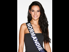 https://image.noelshack.com/fichiers/2015/41/1444474626-miss-france-2015-estrella-ramirez-miss-normandie-2014-exact1024x768-p.jpg