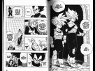 https://image.noelshack.com/fichiers/2015/42/1444709779-dragon-ball-tome-33-34.jpg