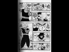 https://image.noelshack.com/fichiers/2015/42/1444710851-dragon-ball-tome-17-101.jpg