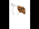 https://image.noelshack.com/fichiers/2015/42/1444743993-lama.jpg