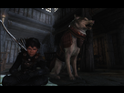 https://image.noelshack.com/fichiers/2015/42/1444845654-dog.jpg