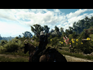 https://image.noelshack.com/fichiers/2015/42/1444936734-witcher3-2015-10-15-20-25-27-44.jpg
