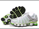 https://image.noelshack.com/fichiers/2015/42/1444937254-nike-shox-tl3-femme-blanc-silver-vert.jpg