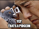 https://www.noelshack.com/2015-42-1444979933-thats-a-pigeon.jpg