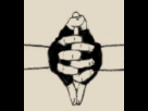 https://image.noelshack.com/fichiers/2015/43/1445519783-663446.gif