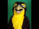 https://image.noelshack.com/fichiers/2015/43/1445643245-falco-by-splendid-portraits-d1.jpg
