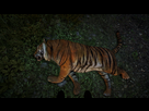 https://image.noelshack.com/fichiers/2015/43/1445717581-farcry4-2015-10-23-21-25-55-97.jpg